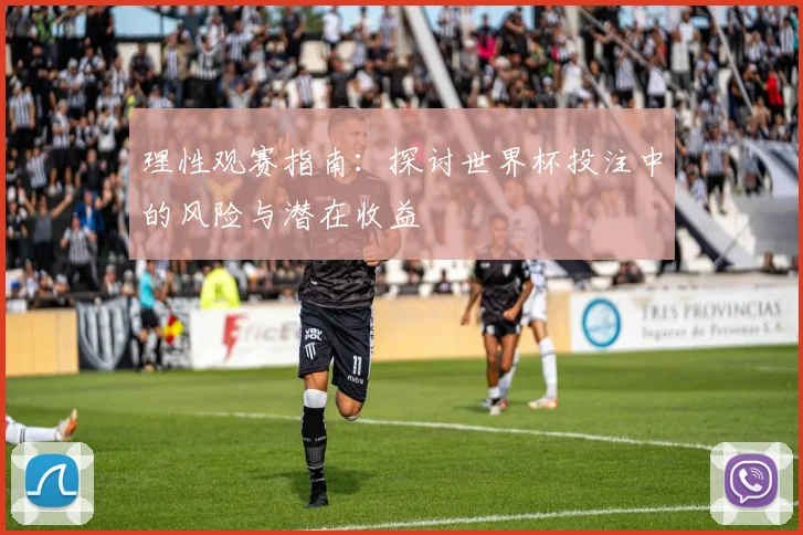 理性观赛指南：探讨世界杯投注中的风险与潜在收益