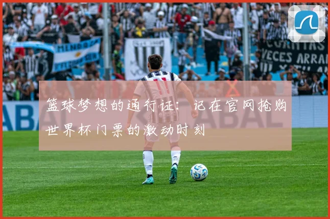 篮球梦想的通行证:记在官网抢购世界杯门票的激动时刻