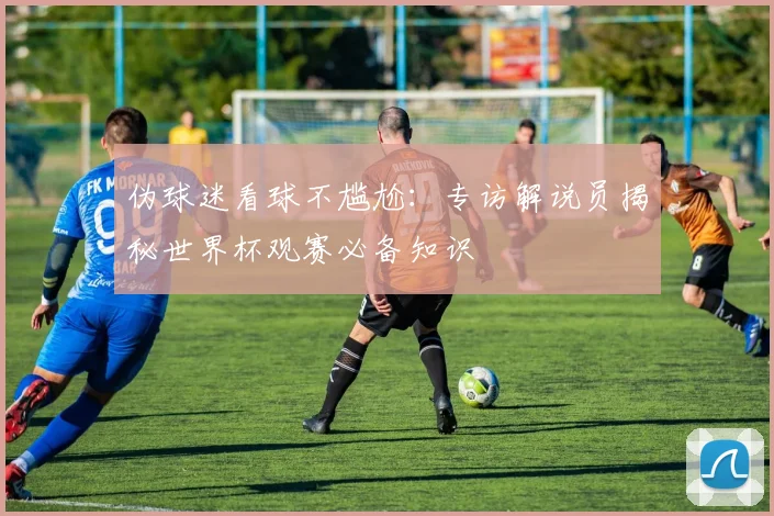 伪球迷看球不尴尬：专访解说员揭秘世界杯观赛必备知识