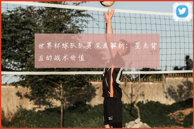 世界杯球队队员深度解析：星光背后的战术价值