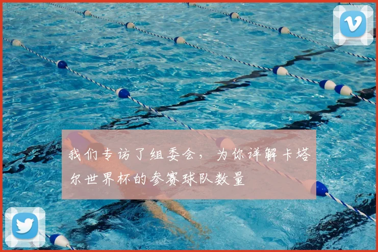 我们专访了组委会，为你详解卡塔尔世界杯的参赛球队数量