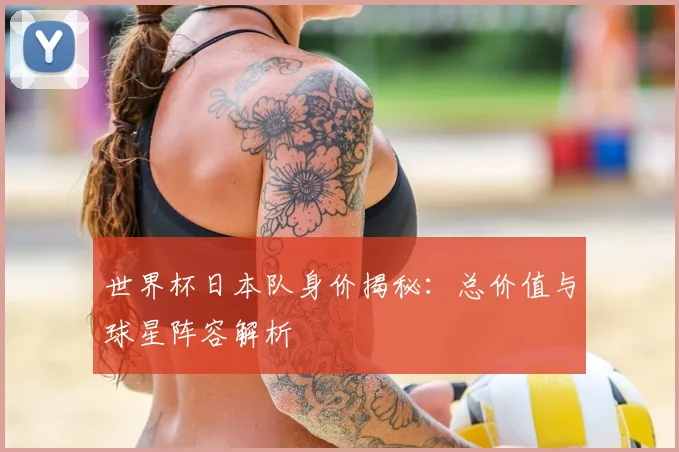 世界杯日本队身价揭秘：总价值与球星阵容解析