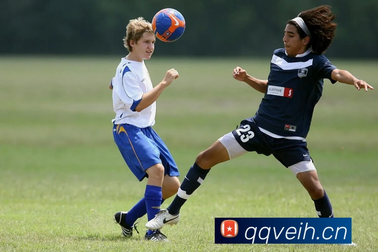 多媒体互动体验