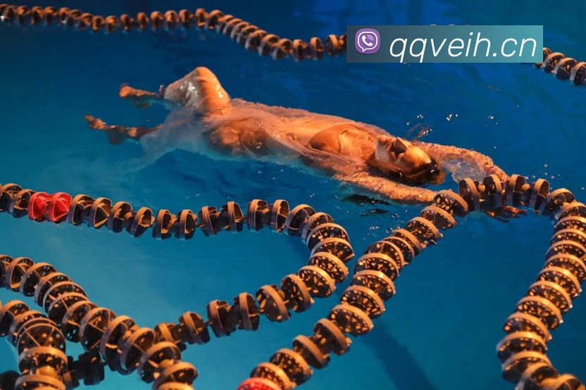 星空体育登录网页APP 高清赛事图